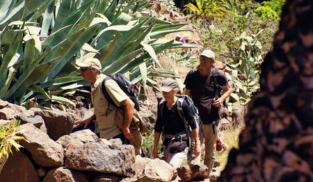 Wanderreise nach La Gomera für Singles & Alleinreisende buchen bei singlereisen.de