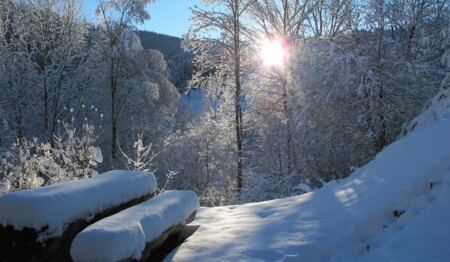 Mit singlereisen.de Weihnachten im Schwarzwald