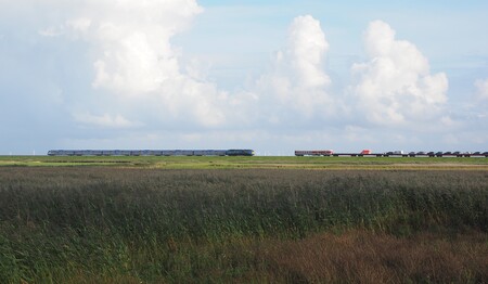 Singleurlaub nach Husum an der Nordsee buchen bei singlereisen.de