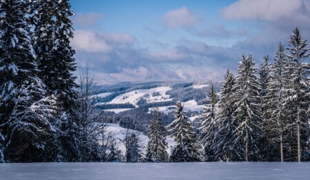 Mit singlereisen.de Weihnachten im Schwarzwald