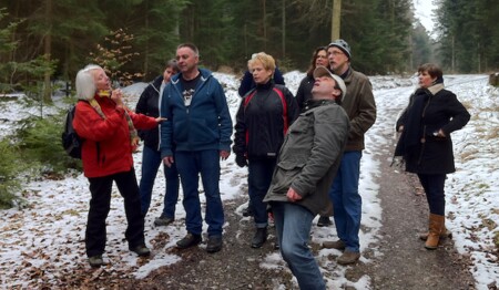 Mit singlereisen.de Weihnachten im Schwarzwald