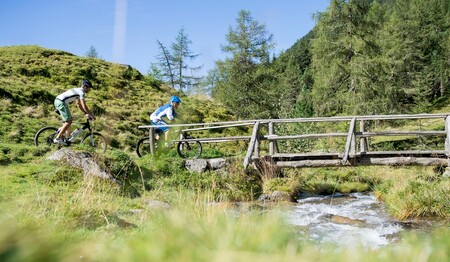 E-Biken auf der idyllischen Alm mit weiteren Alleinreisenden bei singlereisen.de