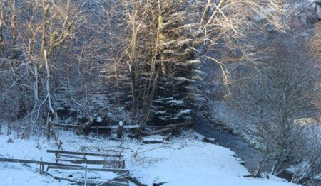 Mit singlereisen.de Weihnachten im Schwarzwald