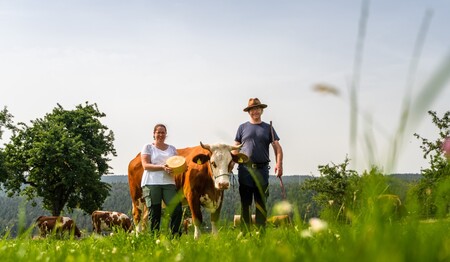 Auf einer Singlereise Wandern und Genuss im Schwarzwald mit anderen Alleinreisenden erleben