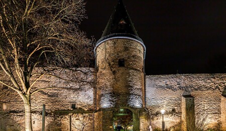 Besuch der kurfürstlichen Burg von Andernach mit Schlossgarten zu Silvester mit singlereisen.de