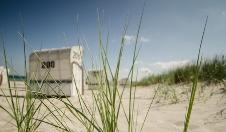 Singleurlaub nach Husum an der Nordsee mit Ausflug nach Sylt buchen bei singlereisen.de