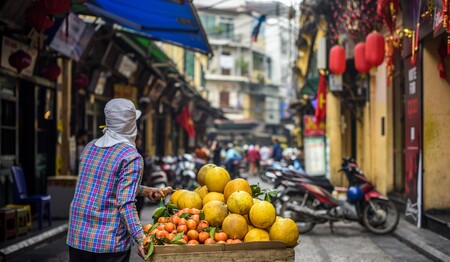 Vietnam-Reise für Alleinreisende buchen beim Testsieger singlereisen.de