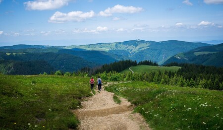 Im idyllischen Schwarzwald Ostern und Pfingsten genießen mit singlereisen.de