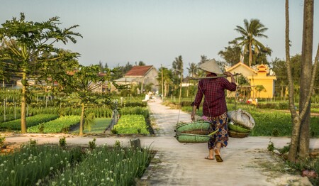 Vietnam-Reise für Alleinreisende buchen beim Testsieger singlereisen.de