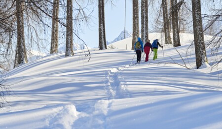 Im Brandnertal Schneeschuhwandern für Singles