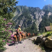 Wanderurlaub für Alleinreisende im Brandnertal