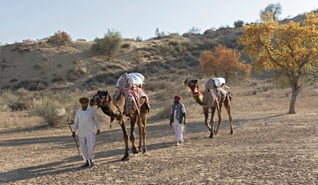 Erleben Sie eine Singlereise durch das märchenhafte Rajasthan mit einzigartigen Eindrücken in Delhi, Udaipur, Agra und Jaipur.