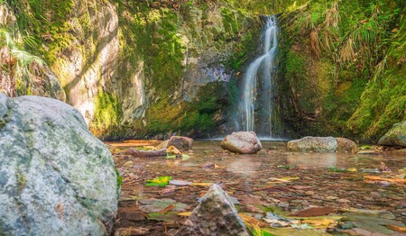 Auf einer Singlereise Wandern und Genuss im Schwarzwald mit anderen Alleinreisenden erleben