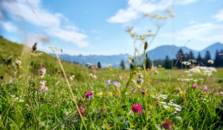 Wanderreise im Brandnertal in Vorarlberg für Alleinreisende