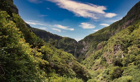 Wanderreise für Singles nach La Gomera buchen bei singlereisen.de