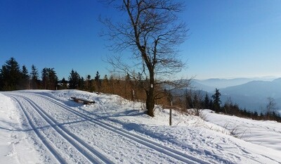 Silvester im Schwarzwald mit singlereisen.de