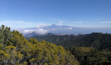 Wanderreise für Singles & Alleinreisende nach La Gomera buchen bei singlereisen.de