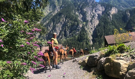 Wanderurlaub für Alleinreisende im Brandnertal buchen bei singlereisen.de