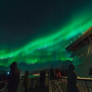 Hurtigruten Weihnachtsreise mit singlereisen.de