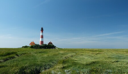 Singleurlaub nach Husum an der Nordsee buchen bei singlereisen.de