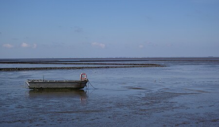 Singleurlaub nach Husum an der Nordsee buchen bei singlereisen.de