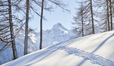 Mit singlereisen.de Schneeschuhwandern im Brandnertal